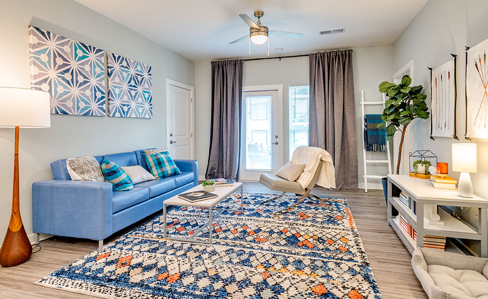 Furnished apartment living space